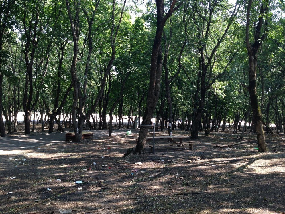 Пятигорчане недовольны количеством мусора, который оставили участники «Машука»