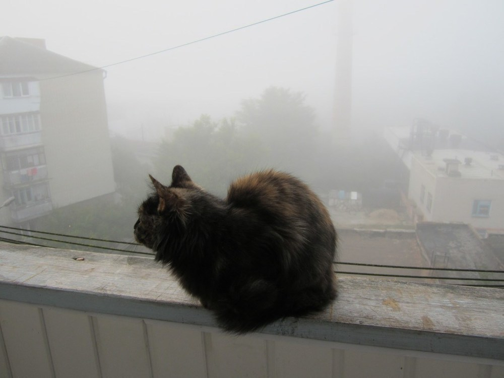 В конце недели на Ставрополье ожидается туман и гололед