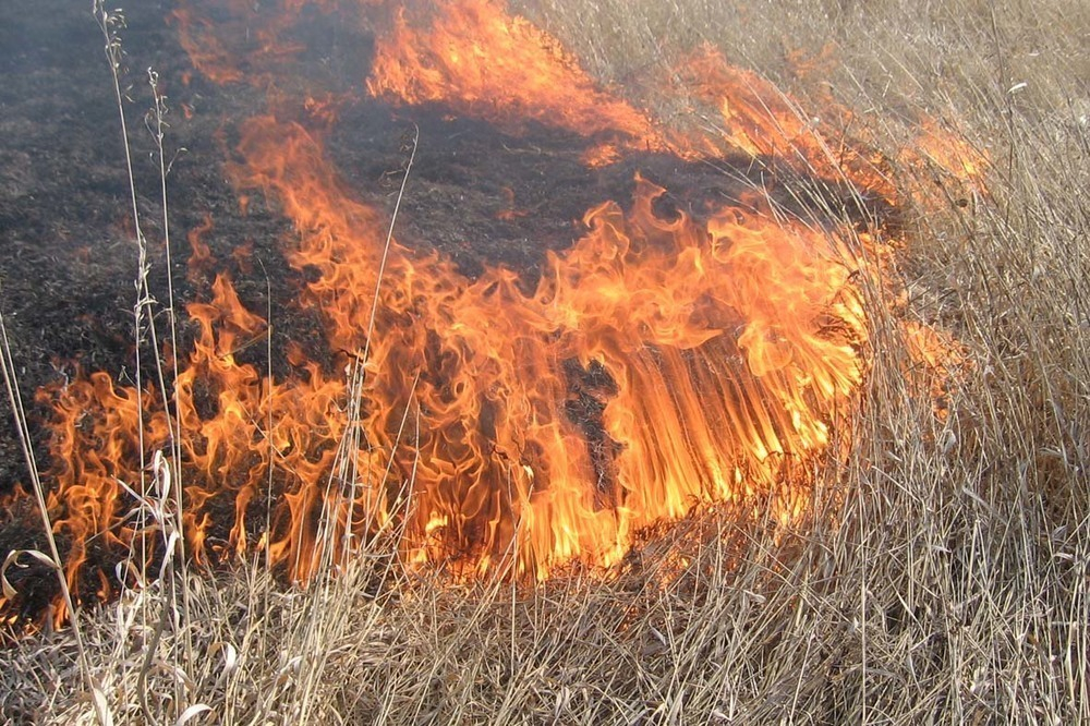 Высокая опасность возникновения пожаров на Ставрополье сохраняется в среду