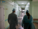 Бойцовские собаки загрызли 10-летнего мальчика в Ставрополе: ребенок в реанимации 