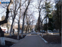 Курорты КМВ опять застраивают: власти отдали жирный кусок земли под электротехнический завод в Лермонтове