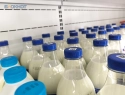 Россельхознадзор снова нашел фальсификат в молочной продукции со Ставропольского края