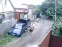 «Клоун, остановись»: вооруженный пятигорчанин взбесился из-за платежки за вывоз мусора