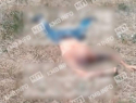 Тело мужчины без головы нашли на обочине в Ставропольском крае