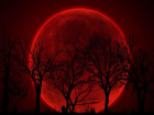 Ночь кровавой Луны увидят ставропольцы в понедельник