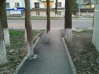Дерево посреди тротуарной дорожки мешает проходу пешеходов в Пятигорске
