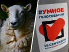 «Укравший» у Навального товарный знак «Умное голосование» продавец шерсти избегает СМИ