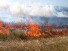 На Ставрополье 20 полей сгорели