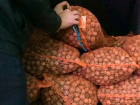 Злоумышленник попался на краже грецких орехов на Ставрополье
