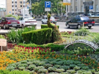 На уход за клумбами, газонами и цветниками Ставрополя мэрия выделила 35 миллионов рублей