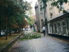 Ветка старого дерева рухнула на пешеходный тротуар из-за порыва ветра в центре Ставрополя