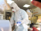 На Ставрополье 5 новых случаев заражения коронавирусом