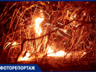 Ураган, человек или тлеющий окурок? Возможные причины пожара на 300 гектарах под Ставрополем назвали в минприроды