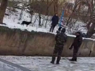 Укусившую ребенка собаку не дала отловить зоозащитница в Железноводске