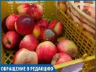 Опасно для жизни: гнилые фрукты продаются на прилавках сетевого магазина в Ставрополе