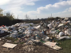 Ставропольское сельхозпредприятие загрязняло поля навозом и мусором