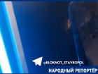 Большого таракана на кофемашине в супермаркете Ставрополя заметила горожанка