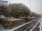 Снег с дождем и туман пообещали ставропольцам в преддверии 8 марта 