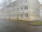 О замурованных в подвале животных вновь заявили жители Ставрополя