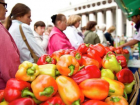 На ярмарках в Ставрополе реализовали около 2,5 тысяч тонн овощей и фруктов