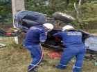 Пассажир погиб в сташном ДТП на трассе Ростов-Ставрополь