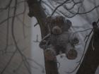В понедельник в Ставрополе ожидаются мороз и осадки