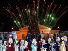 18 новогодних ёлок установят в разных районах Ставрополя