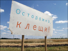 Шесть человек заразились крымской геморрагической лихорадкой за последние дни