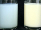 Молочный напиток синеватого цвета официально разрешили называть «молоком»