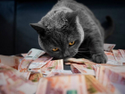 Все о повышении тарифов в Ставропольском крае с июля 2024 года