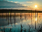 На Ставрополье озеро Тамбукан хотят спасти ценой деревьев