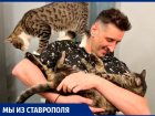Разрывает хит-парады и воспитывает кошек: как живет солист группы «Градусы» из Ставрополя Руслан Тагиев в 2023 году 