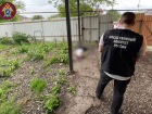 Парень, убивший бойца СВО на Ставрополье после замечания о собаке, получил 6 лет колонии