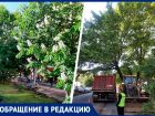 Пустить автобус по улице Розы Люксембург предложили власти Ставрополя