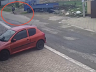 Момент нападения питбуля на 10-летнего мальчика в Ставрополе попал на видео