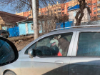 «Хаски в Ставрополе не просто убегают из дома, но и угоняют автомобиль», - ставропольцы