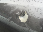 Дебошир расстрелял из травматического пистолета проезжающий автомобиль на трассе около Ставрополя