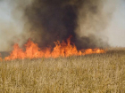 Пожарным удалось затушить огонь, уничтожавший поля в Минераловодском районе