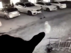 Новые подробности драки в кальянной на юго-западе Ставрополя