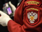 На Ставрополье детские сады оштрафовали на полмиллиона рублей