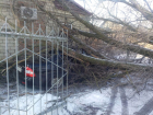 Рухнувшее дерево разбило "всмятку" «Приору» и поцарапало «Ниссан» на Ставрополье