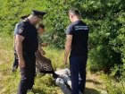 За убийство собутыльника на кладбище около Михайловска двум женщинам вынесли приговор