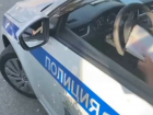 Неадекватные водители и кричащие матом пьянчуги: Ставрополь взвыл из-за массового нарушения закона о тишине