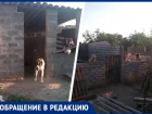 Ждем, пока кого-то загрызут? Нелегальный питомник с  волкодавами появился в Буденновске под молчание приставов и прокуратуры