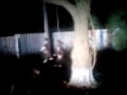 Повесивших четырех щенков на деревьях живодеров поймала полиция на Ставрополье