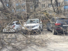Четыре престижные иномарки придавило упавшее дерево около ТРК "Новый Рим" Ставрополя