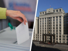 Встречайте пополнение? Журналистка и безработный претендуют на места в Госдуме РФ IX созыва от Ставрополья