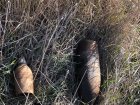 Неразорвавшиеся снаряды времен Великой Отечественной обнаружены в Невинномысске