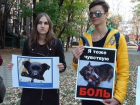 Митинг с требованием закона о гуманном отношении к животным провели зоозащитники в Ставрополе