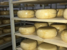 50 тонн контрафактного сыра изъяли на Ставрополье